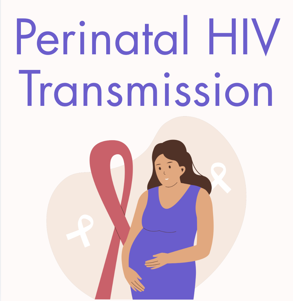 thumbnail of Perinatal HIV Transmission by Patrick Ngo