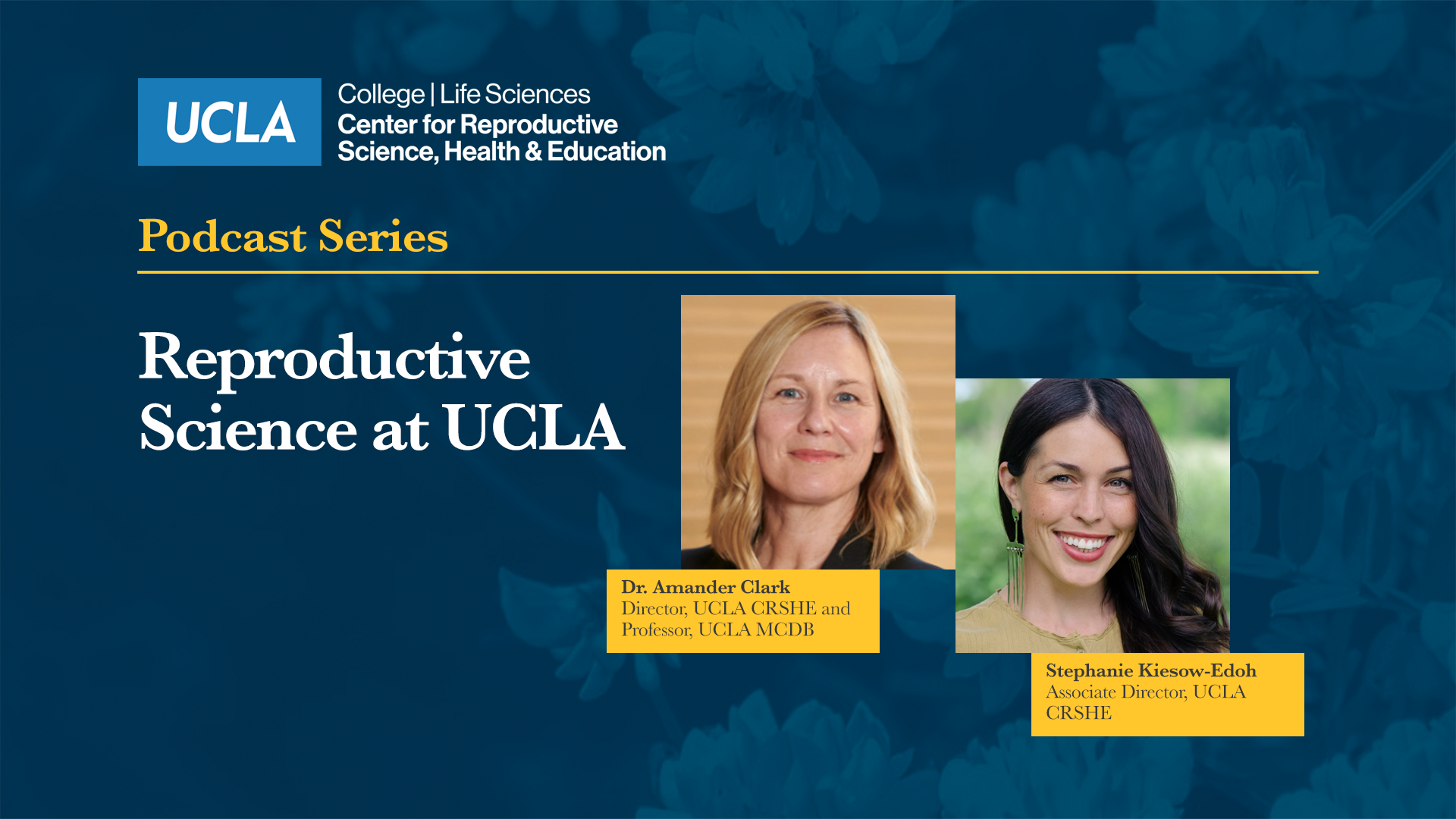 banner for podcast showing Dr. Clark and Stephanie Kiesow-Udoh