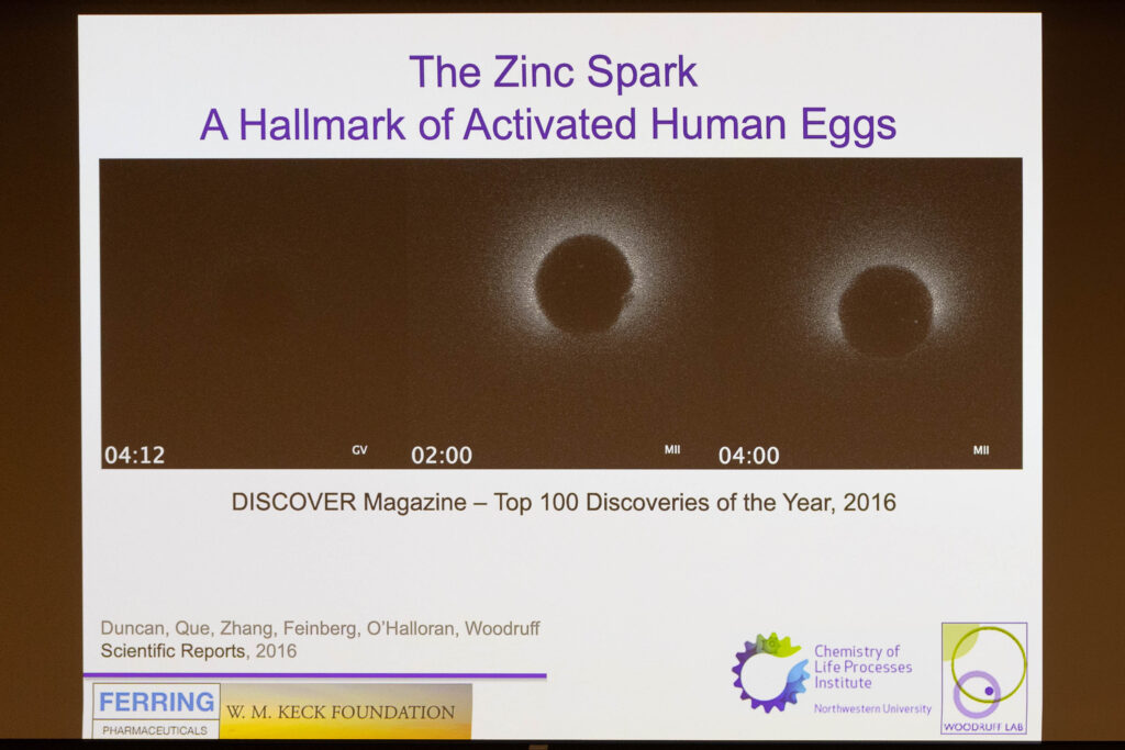 Presentation slide showing three microscope images of zinc spark fluorescence in activated human eggs, titled "The Zinc